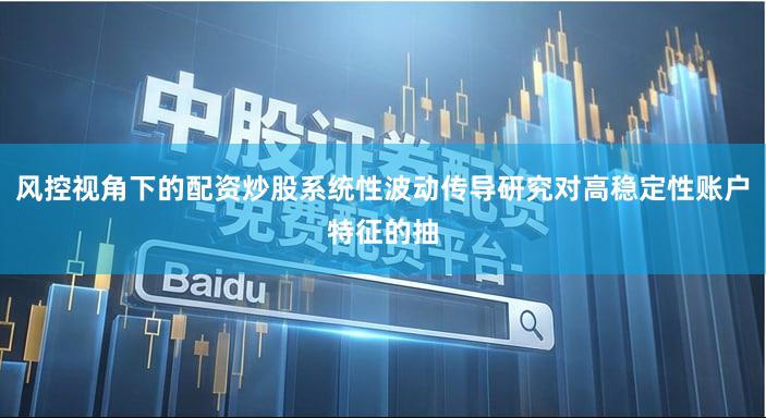风控视角下的配资炒股系统性波动传导研究对高稳定性账户特征的抽