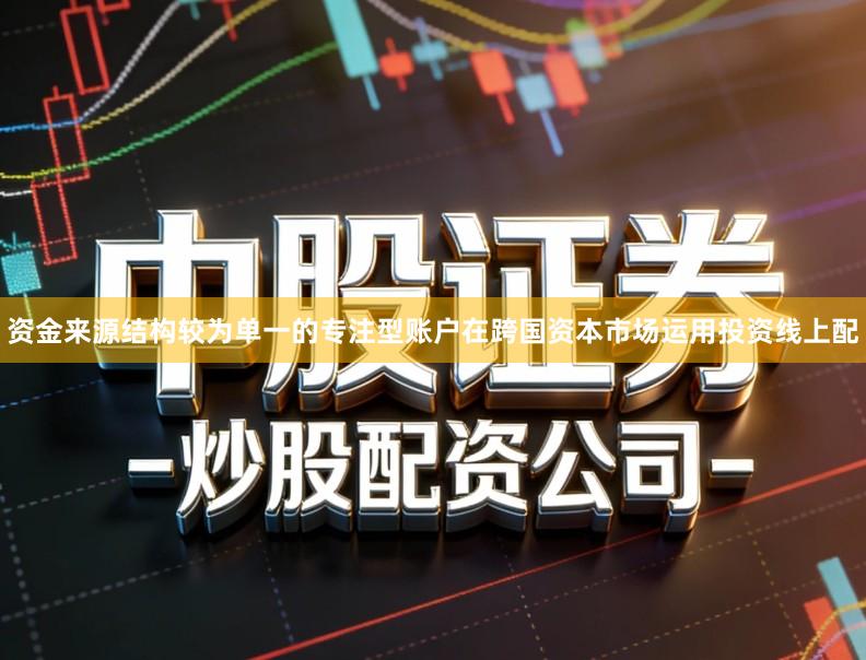 资金来源结构较为单一的专注型账户在跨国资本市场运用投资线上配