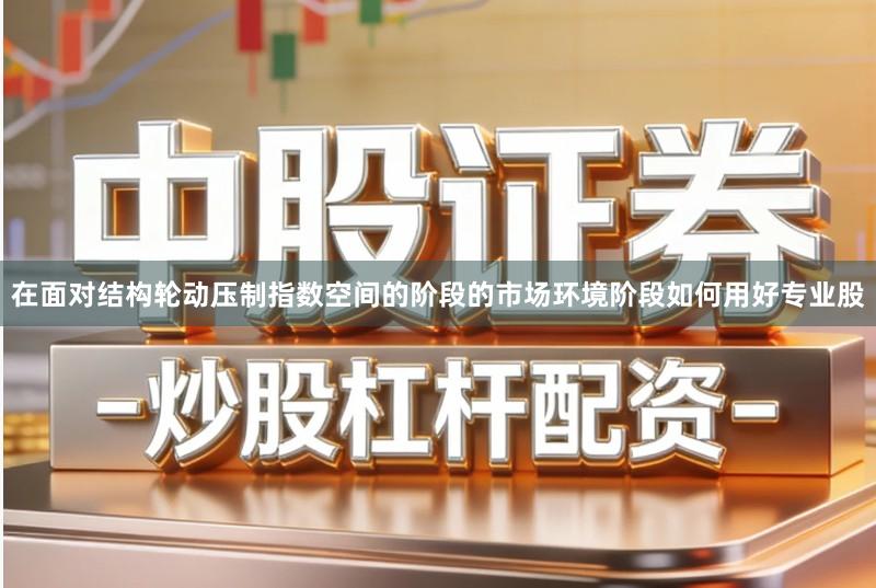 在面对结构轮动压制指数空间的阶段的市场环境阶段如何用好专业股