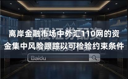 离岸金融市场中外汇110网的资金集中风险跟踪以可检验约束条件