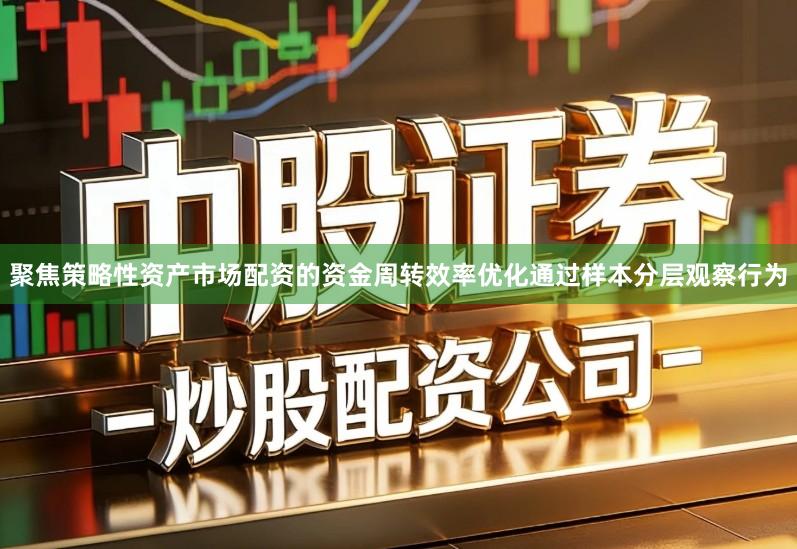 聚焦策略性资产市场配资的资金周转效率优化通过样本分层观察行为