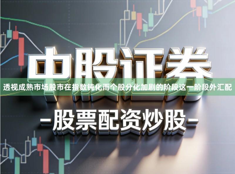 透视成熟市场股市在指数钝化而个股分化加剧的阶段这一阶段外汇配
