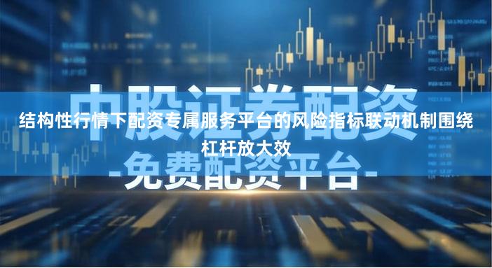 结构性行情下配资专属服务平台的风险指标联动机制围绕杠杆放大效